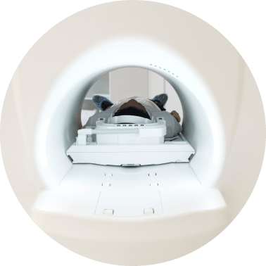 MRI - Teleradiology platform